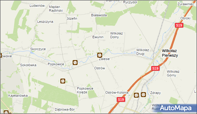 mapa Zalesie gmina Wilkołaz, Zalesie gmina Wilkołaz na mapie Targeo