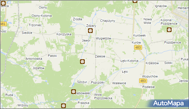 mapa Zalesie gmina Zelów, Zalesie gmina Zelów na mapie Targeo