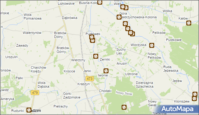 mapa Żerniki gmina Zadzim, Żerniki gmina Zadzim na mapie Targeo