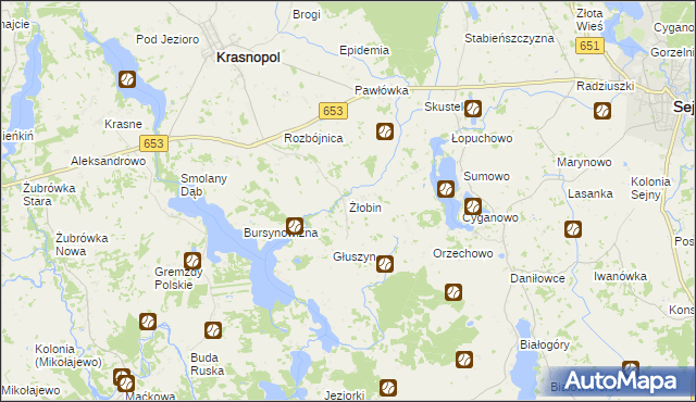 mapa Żłobin, Żłobin na mapie Targeo