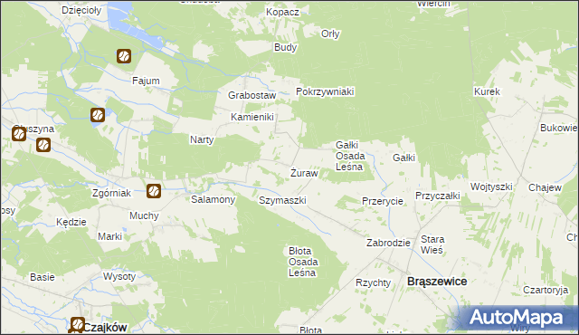 mapa Żuraw gmina Brąszewice, Żuraw gmina Brąszewice na mapie Targeo