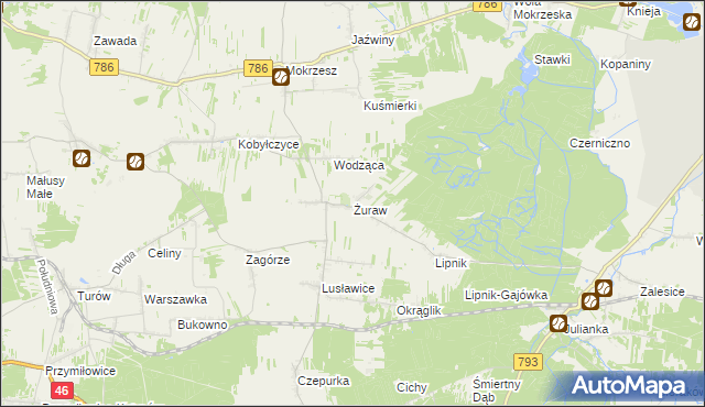 mapa Żuraw gmina Janów, Żuraw gmina Janów na mapie Targeo