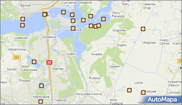 mapa Anielew gmina Kramsk, Anielew gmina Kramsk na mapie Targeo