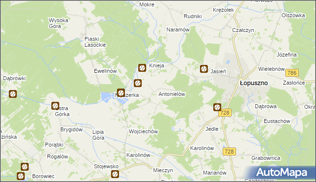 mapa Antonielów gmina Łopuszno, Antonielów gmina Łopuszno na mapie Targeo