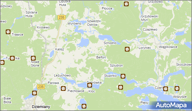 mapa Belfort gmina Dziemiany, Belfort gmina Dziemiany na mapie Targeo