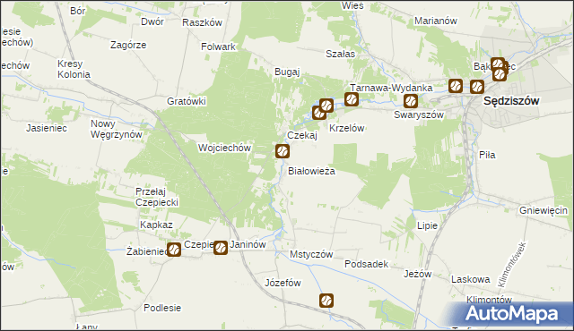 mapa Białowieża gmina Sędziszów, Białowieża gmina Sędziszów na mapie Targeo