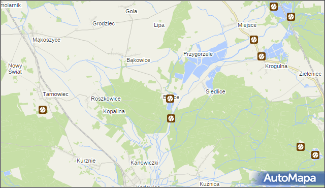 mapa Bielice gmina Świerczów, Bielice gmina Świerczów na mapie Targeo