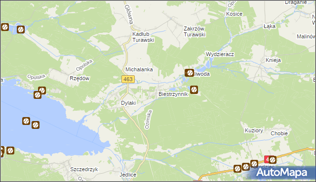 mapa Biestrzynnik, Biestrzynnik na mapie Targeo