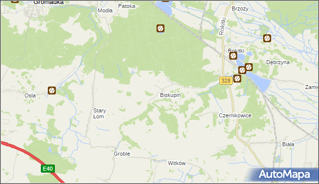 mapa Biskupin gmina Chojnów, Biskupin gmina Chojnów na mapie Targeo