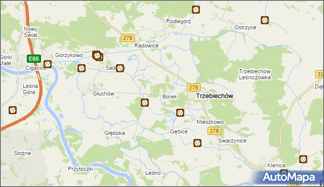 mapa Borek gmina Trzebiechów, Borek gmina Trzebiechów na mapie Targeo