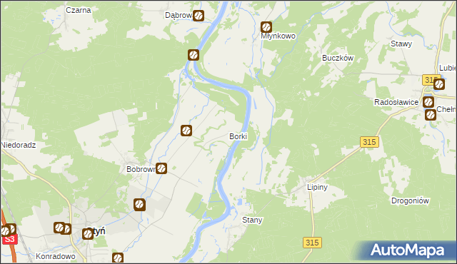 mapa Borki gmina Otyń, Borki gmina Otyń na mapie Targeo