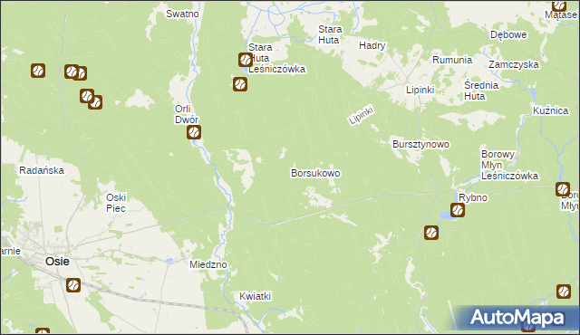 mapa Borsukowo, Borsukowo na mapie Targeo