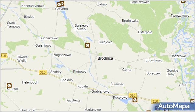 mapa Brodnica powiat śremski, Brodnica powiat śremski na mapie Targeo