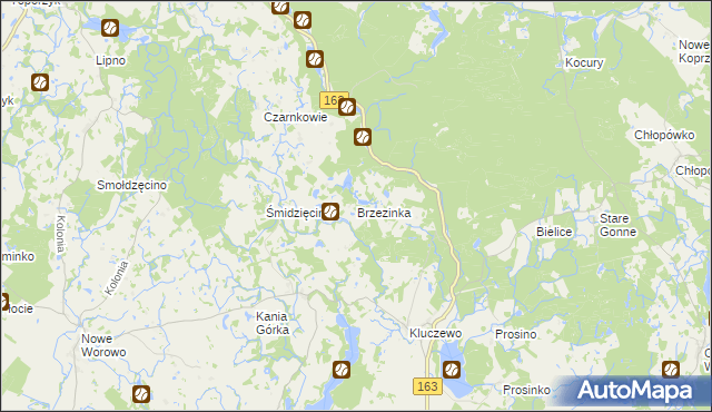 mapa Brzezinka gmina Czaplinek, Brzezinka gmina Czaplinek na mapie Targeo