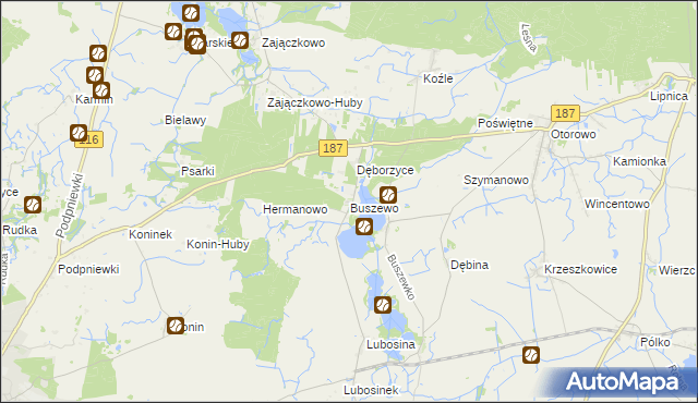 mapa Buszewo gmina Pniewy, Buszewo gmina Pniewy na mapie Targeo