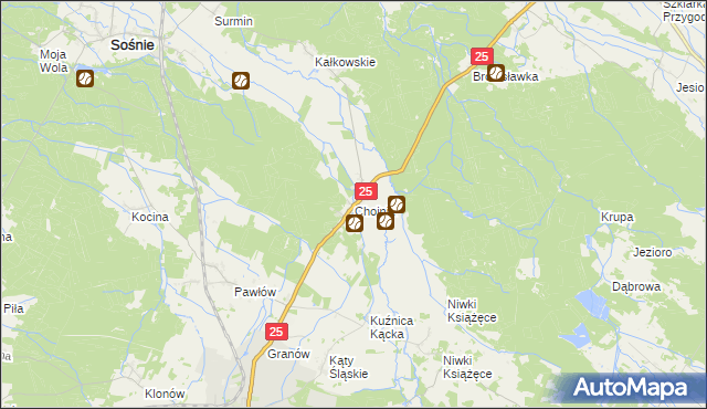 mapa Chojnik gmina Sośnie, Chojnik gmina Sośnie na mapie Targeo