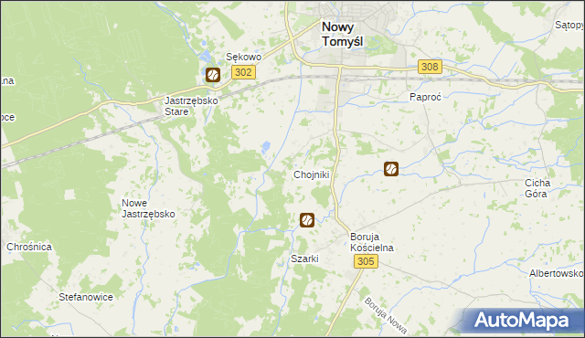 mapa Chojniki gmina Nowy Tomyśl, Chojniki gmina Nowy Tomyśl na mapie Targeo