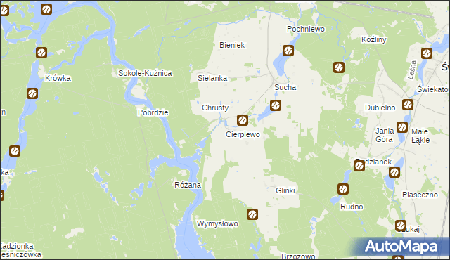 mapa Cierplewo, Cierplewo na mapie Targeo