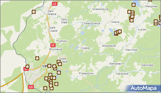 mapa Czaple gmina Trzebiel, Czaple gmina Trzebiel na mapie Targeo