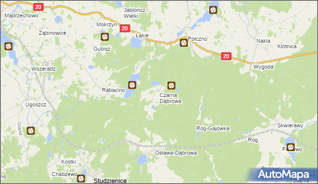 mapa Czarna Dąbrowa, Czarna Dąbrowa na mapie Targeo