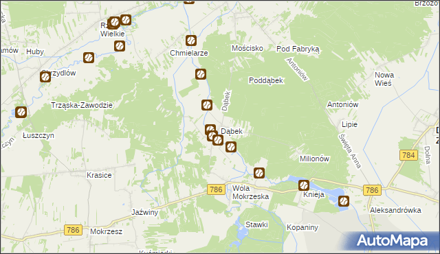 mapa Dąbek gmina Dąbrowa Zielona, Dąbek gmina Dąbrowa Zielona na mapie Targeo