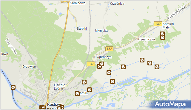 mapa Dąbroszyn gmina Witnica, Dąbroszyn gmina Witnica na mapie Targeo