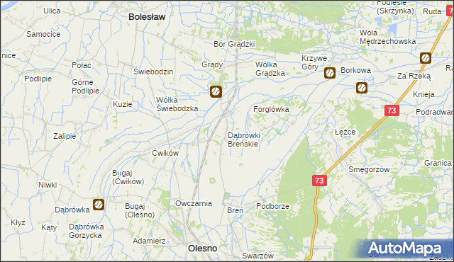 mapa Dąbrówki Breńskie, Dąbrówki Breńskie na mapie Targeo