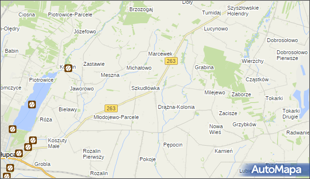 mapa Drążna, Drążna na mapie Targeo