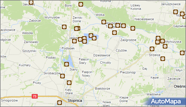 mapa Dziesławice gmina Stopnica, Dziesławice gmina Stopnica na mapie Targeo