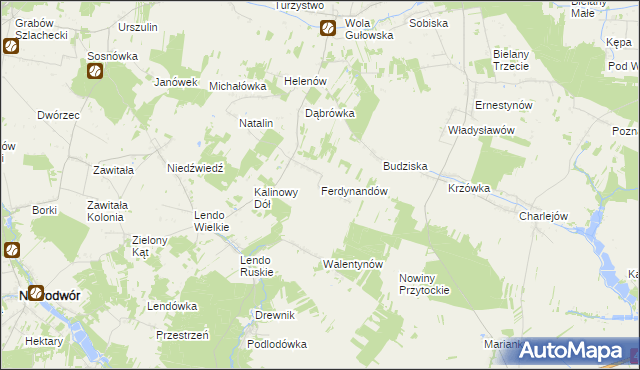 mapa Ferdynandów gmina Adamów, Ferdynandów gmina Adamów na mapie Targeo