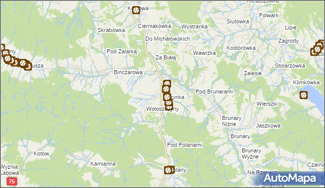 mapa Florynka, Florynka na mapie Targeo