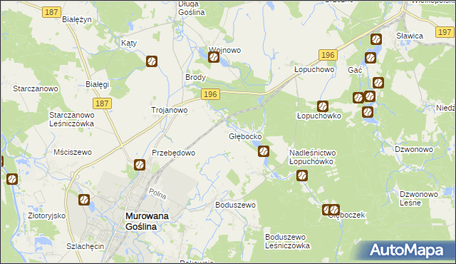 mapa Głębocko gmina Murowana Goślina, Głębocko gmina Murowana Goślina na mapie Targeo