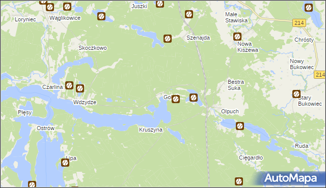 mapa Gołuń gmina Kościerzyna, Gołuń gmina Kościerzyna na mapie Targeo