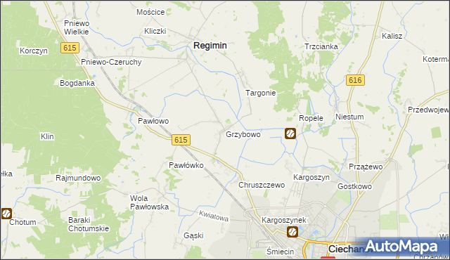 mapa Grzybowo gmina Regimin, Grzybowo gmina Regimin na mapie Targeo