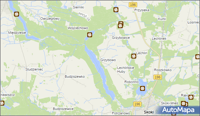 mapa Grzybowo gmina Skoki, Grzybowo gmina Skoki na mapie Targeo