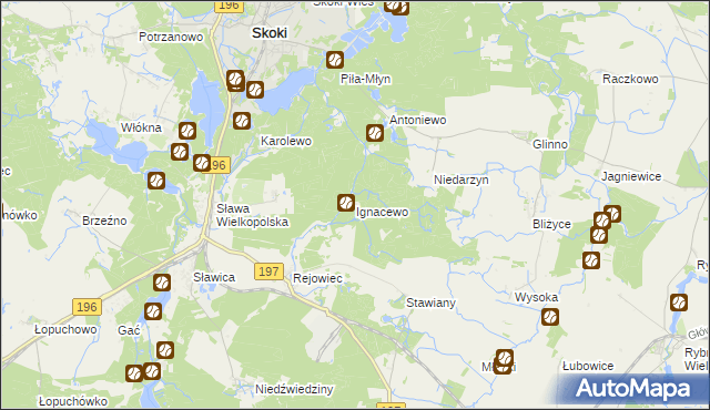 mapa Ignacewo gmina Skoki, Ignacewo gmina Skoki na mapie Targeo