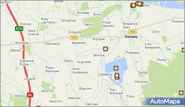 mapa Janinów gmina Bielawy, Janinów gmina Bielawy na mapie Targeo