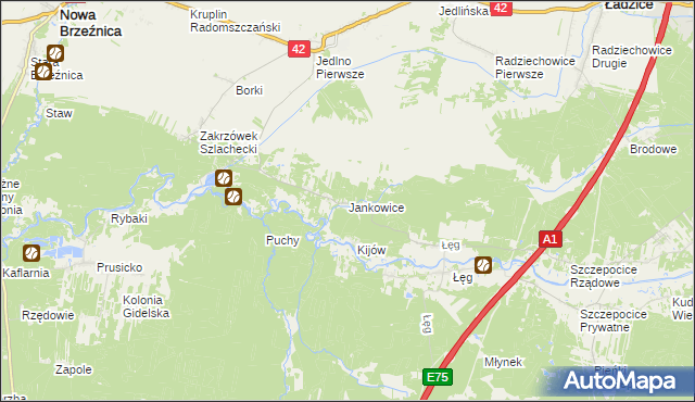 mapa Jankowice gmina Ładzice, Jankowice gmina Ładzice na mapie Targeo