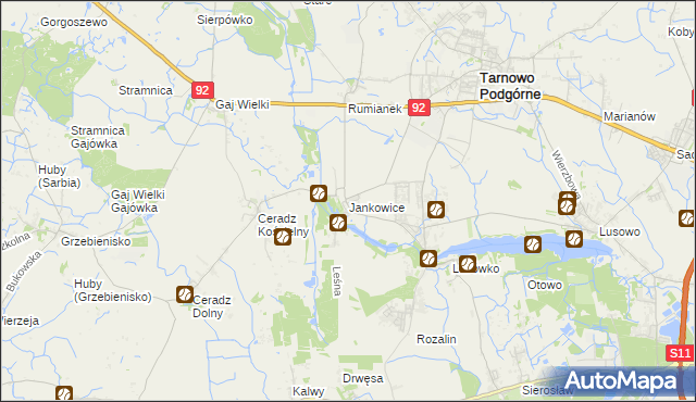 mapa Jankowice gmina Tarnowo Podgórne, Jankowice gmina Tarnowo Podgórne na mapie Targeo