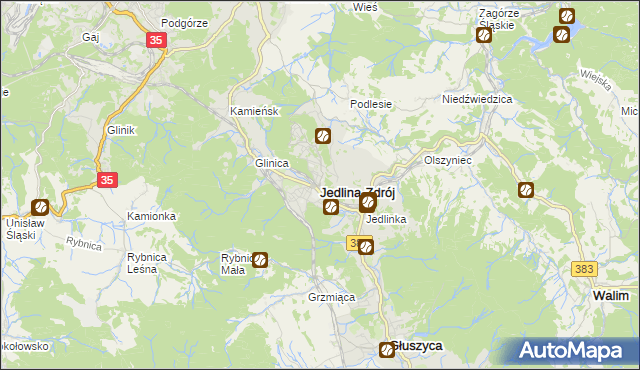 mapa Jedlina-Zdrój, Jedlina-Zdrój na mapie Targeo