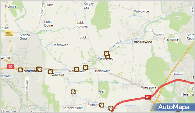 mapa Kamieniec gmina Zbrosławice, Kamieniec gmina Zbrosławice na mapie Targeo