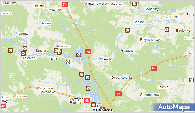 mapa Koliszowy, Koliszowy na mapie Targeo