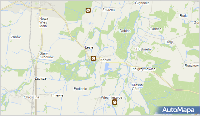 mapa Kopice gmina Grodków, Kopice gmina Grodków na mapie Targeo