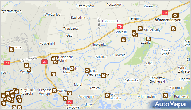 mapa Koźlica, Koźlica na mapie Targeo