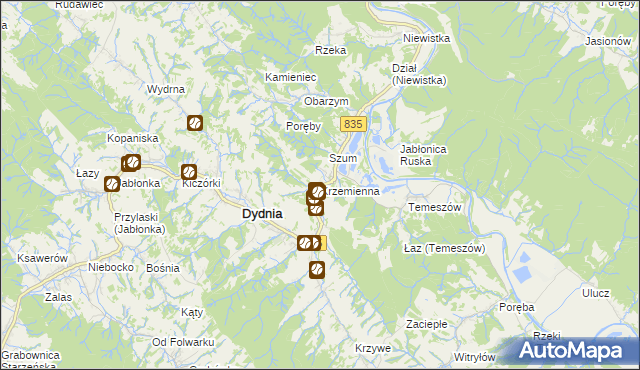 mapa Krzemienna gmina Dydnia, Krzemienna gmina Dydnia na mapie Targeo