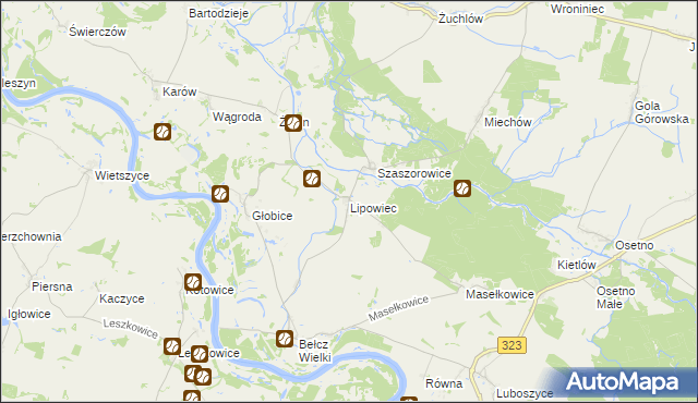 mapa Lipowiec gmina Niechlów, Lipowiec gmina Niechlów na mapie Targeo