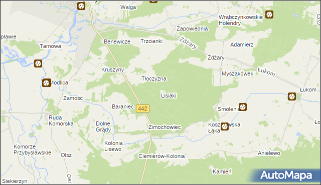 mapa Lisiaki gmina Pyzdry, Lisiaki gmina Pyzdry na mapie Targeo