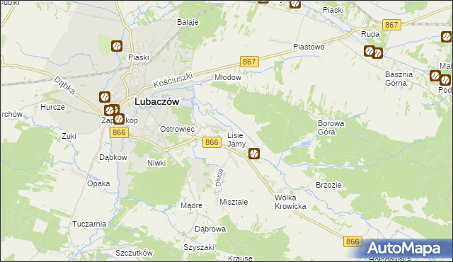 mapa Lisie Jamy gmina Lubaczów, Lisie Jamy gmina Lubaczów na mapie Targeo