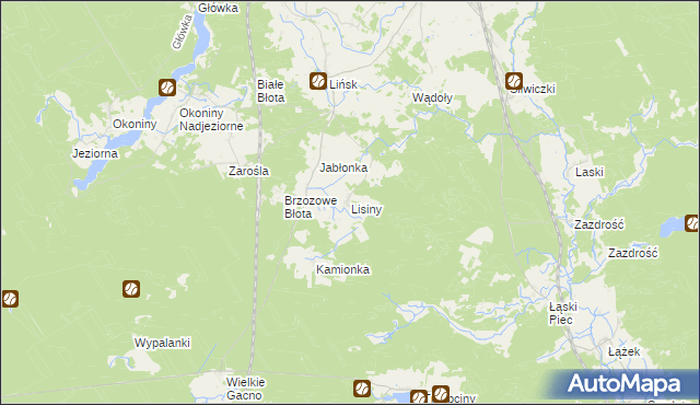 mapa Lisiny gmina Śliwice, Lisiny gmina Śliwice na mapie Targeo