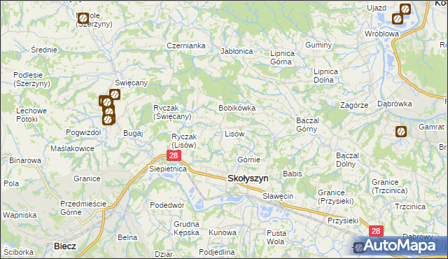 mapa Lisów gmina Skołyszyn, Lisów gmina Skołyszyn na mapie Targeo